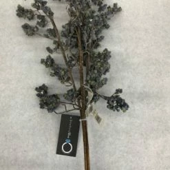 Something Blue Ashland Branch Floral Dusty Blue Size 3ct FLORAL