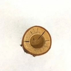 Something Blue Tea Light Candle Wood Birch Size Approx 2.5