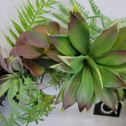 Something Blue Wreath Wood/Succulent Brown/Green Size 15" FLORAL