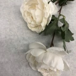 Something Blue Ashland Rose Floral Ivory Size 27" FLORAL DECOR