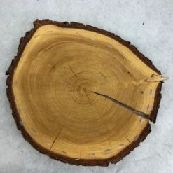 Something Blue Wood Cookie Wood Brown Size Approx. 12" WOOD DECOR