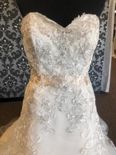 Something Blue Jasmine T172010 Women's Wedding Dress Lace/Tulle Ivory/Gold WEDDING DRESSES 4 Something Blue Jasmine T172010 Women's Wedding Dress Lace/Tulle Ivory/Gold WEDDING DRESSES