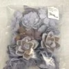 Something Blue 19ct Grey And Brown Sola Flower DECOR
